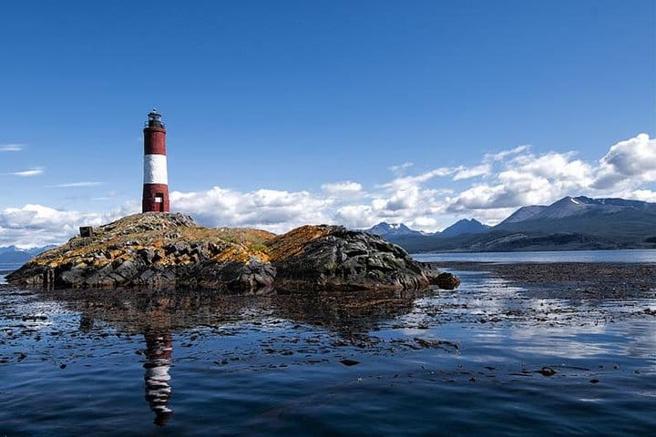 Ushuaia, Navigation Beagle Channel and Isla de Lobos - Half day 6