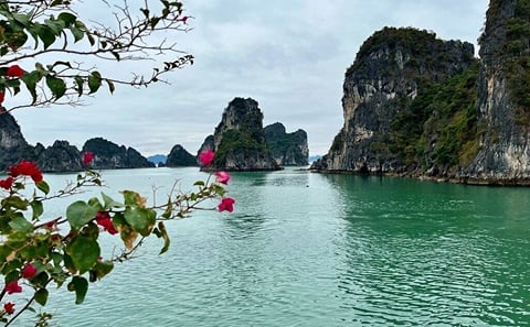 25-Minute Seaplane Tour Over Halong Bay, Vietnam