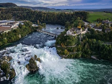 Black Forest and Rhine Falls Day Trip from Zurich
