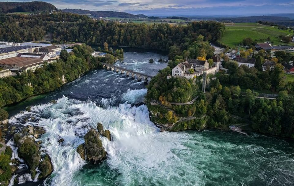 Black Forest and Rhine Falls Day Trip from Zurich