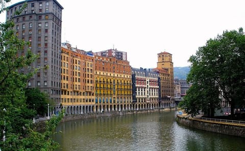 Bilbao Architecture and Culture Tour: Guggenheim and Old Town