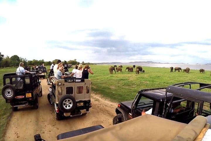 8 Days Classic Tour Sri Lanka