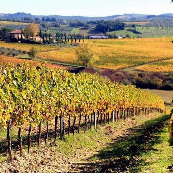 Wine tasting in Chianti, visiting Castellina, in Tuscany from Rome