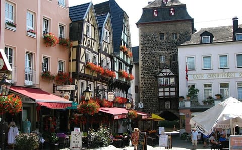 Private Guided Walking Tour of Linz's Historic Sites