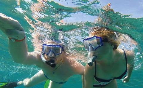 Snorkeling Day Trip to Tiran Island from Sharm El Sheikh