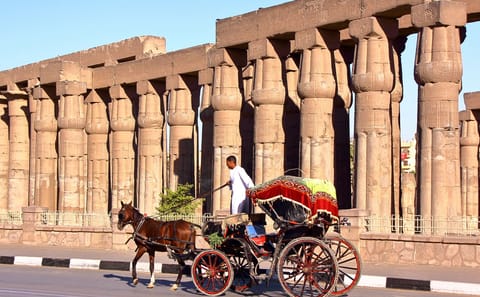 Explore Luxor's Historical Sights on a 3-Hour Horse Carriage Tour