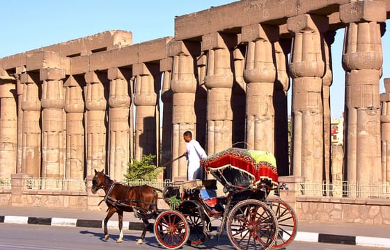 Delight in a 3-Hour Luxor Horse Carriage Tour