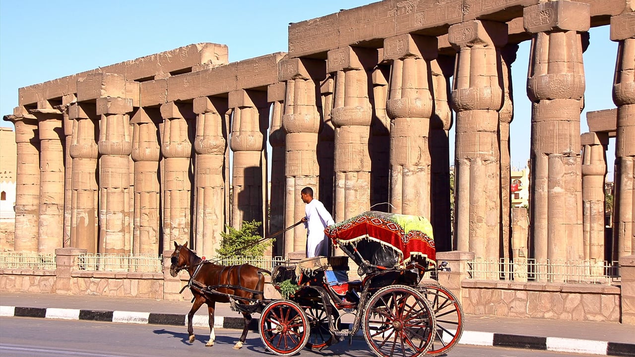 Delight in a 3-Hour Luxor Horse Carriage Tour 2