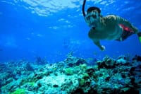 Snorkeling Key West Florida Day Trip Adventure with Boat, Snorkel in the Barrier Reef, Music & Free Open Bar 2