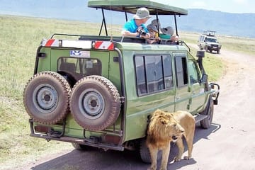 Nairobi National Park Wildlife Game Drive Tour