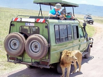 Nairobi National Park Wildlife Game Drive Tour