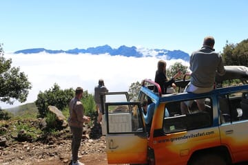 Jeep Tour and Wine Tasting in Madeira's Campanario and Caniço