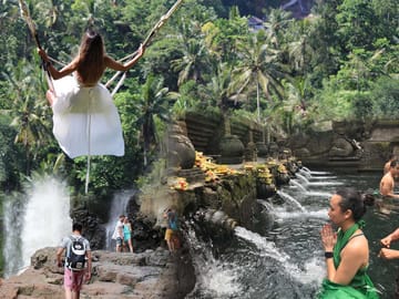 Ubud Adventure Tour: Monkey Forest, Swing, Rice Terraces, Temple