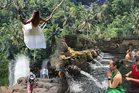 Explore Ubud: Sacred Monkey Forest, Thrilling Swing, and Stunning Rice Terraces