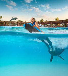 Dolphin Swim Adventure in Playa del Carmen