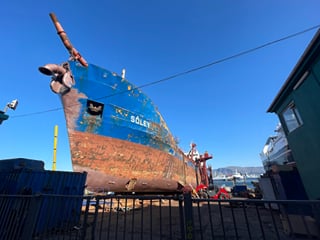 Reykjavik History and Sightseeing Walking Tour, photo 10