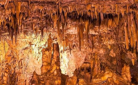 Melissani Lake and Drogarati Cave Half-Day Tour in Chaliotata
