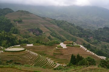 Longji Rice Terraces with Dazhai and Pingan Rice Terraces Tour