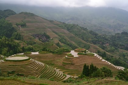 Longji Rice Terraces with Dazhai and Pingan Rice Terraces Tour