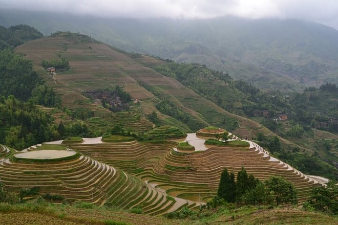 Dazhai Rice Terraces