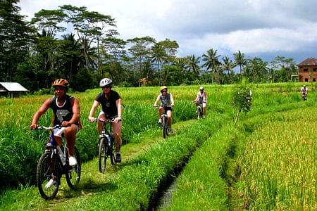 Scenic Ubud Cycling Tour: Explore Bali’s Villages and Rice Terraces