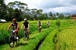 Private Bali Ubud Cycling 