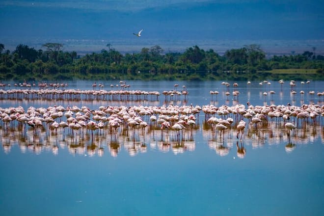 3-Day Amboseli National Park - Group Joining Safari 7