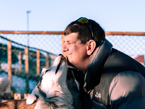 Private Adventure! Arctic Odyssey: Huskies and the Aurora Borealis!, photo 14