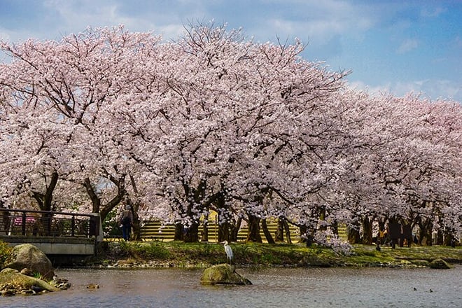 Toyama Custom Half Day Tour