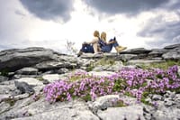 Stones & Stories walk in the Burren, Clare. Private guided. 2 hours 3