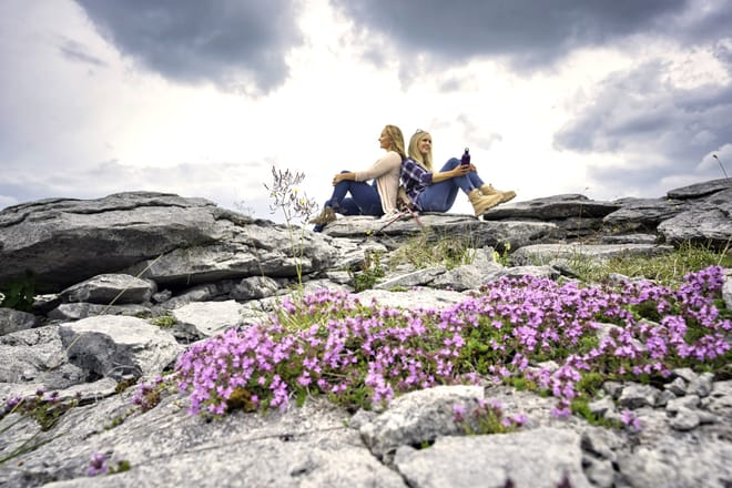 Stones & Stories walk in the Burren, Clare. Private guided. 2 hours photo 3