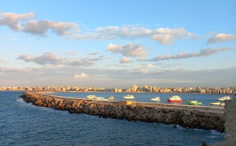 Alexandria Day Tour Catacombs Roman Amphitheater and Citadel
