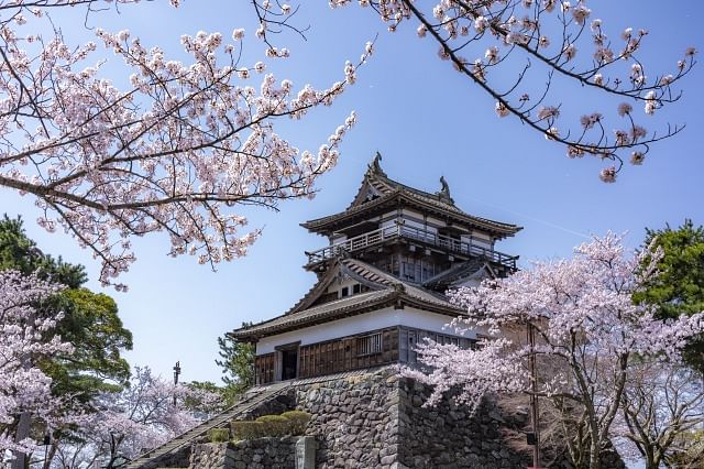 【観光タクシープラン】大本山永平寺と丸岡城・東尋坊　～初めての福井　おすすめダイジェスト～（EH：4時間コース）