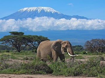 DAY TOUR TO AMBOSELI NATIONALPARK