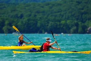 Mangroves Kayaking with Pickup & Drop Off