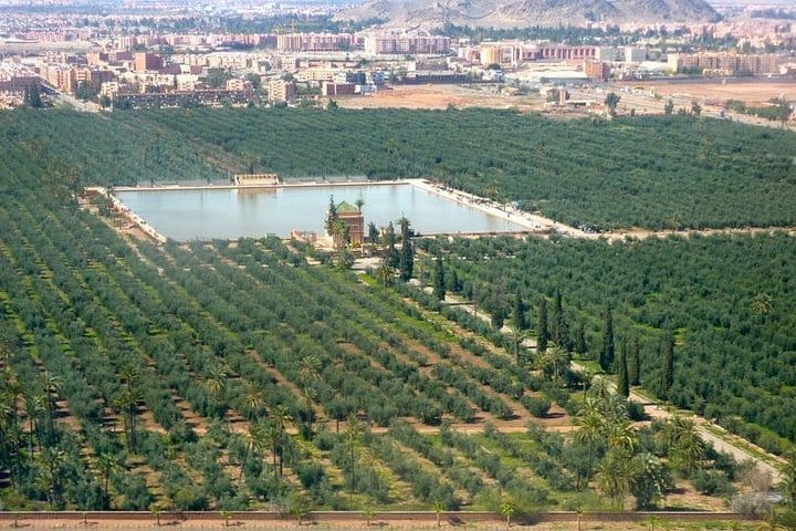 Marrakech Tour Gardens Majorelle, Menara & Anima Gardens