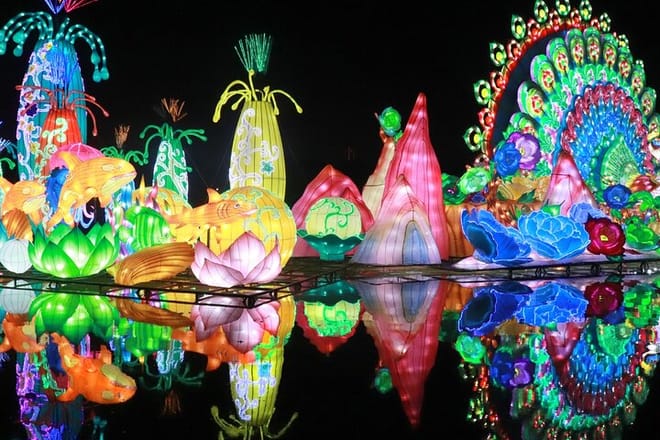 Dubai Glow Garden photo 5