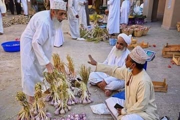 Explore Nizwa Market, Fort, Misfat Al Abriyeen & Jabal Shams