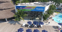 Cozumel: Dolphin Connection 10