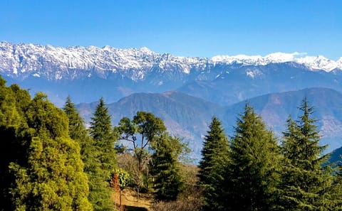 Shivapuri Peak Day Hike from Kathmandu National Park