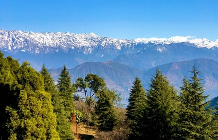 Shivapuri Peak Day Hike from Kathmandu National Park