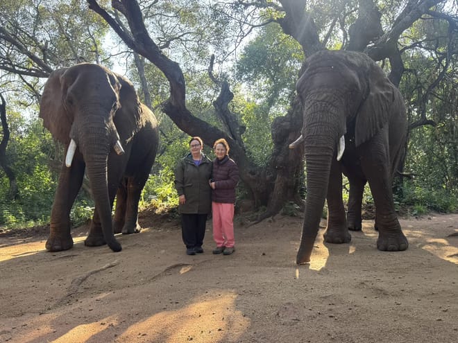 Elephant Sanctuary Tour from Johannesburg 8