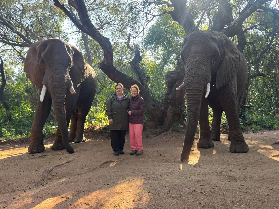 Elephant Sanctuary Tour from Johannesburg 8