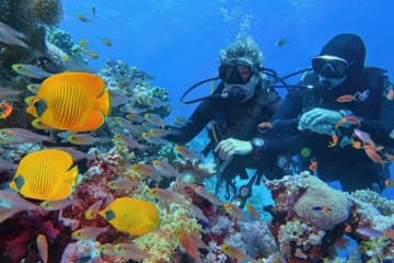 Scuba Diving and Nature Tour at Racha Yai Dive Spot, Phuket