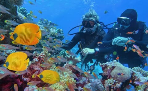 Scuba Diving and Snorkeling Tour in Phuket Islands