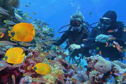 Scuba Diving and Nature Tour at Racha Yai Dive Spot, Phuket