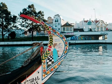 Aveiro and Costa Nova Full-Day Tour from Porto