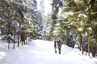 Private day trip to Rila Mountain and Spa Visit 5