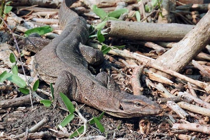 Jaipur Heritage walk Tour