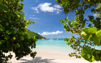 SXM Island Tour  7